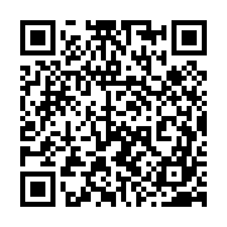QR code for 29WP67