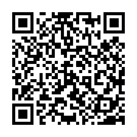 QR code for 29X438