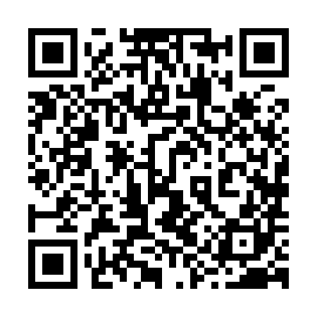 QR code for 29X980
