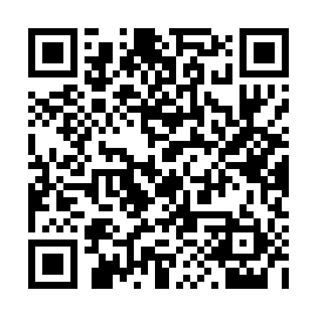 QR code for 29XP91