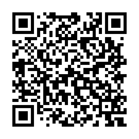 QR code for 29Y155