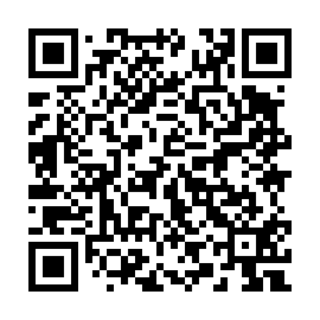 QR code for 29Y411