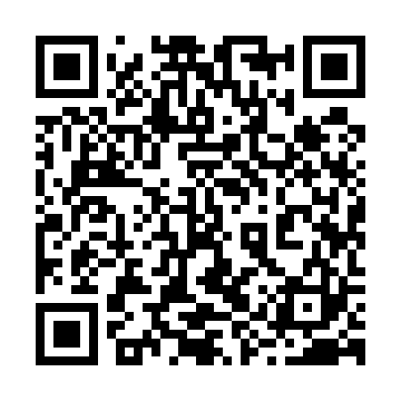 QR code for 29Y523