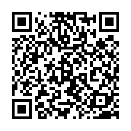 QR code for 29Y529