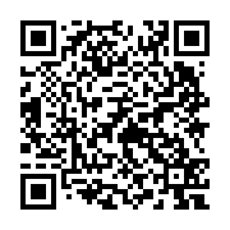 QR code for 29Y637