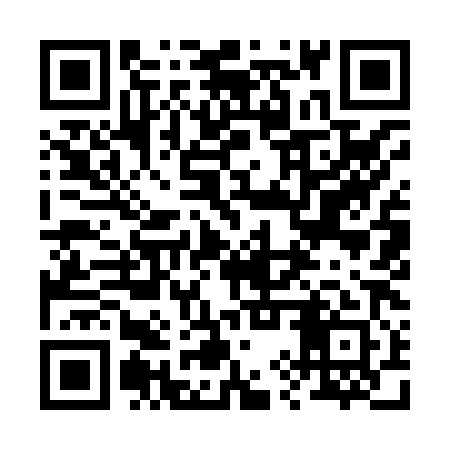 QR code for 29Y881