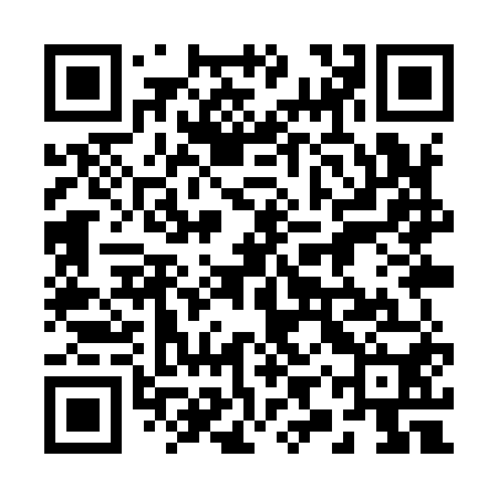 QR code for 29YY50