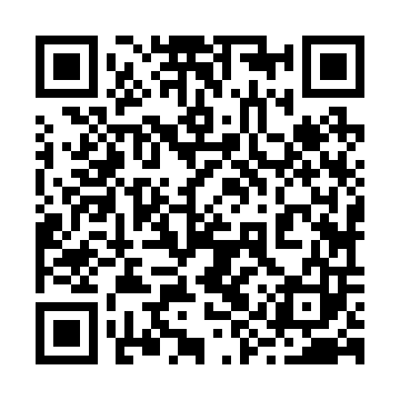 QR code for 29Z203