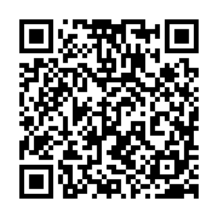 QR code for 29Z395