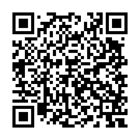 QR code for 29Z483