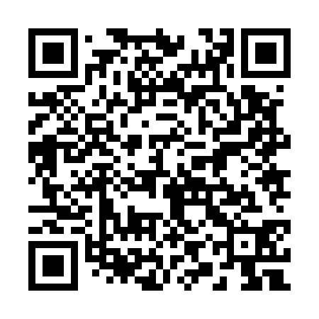 QR code for 29Z530