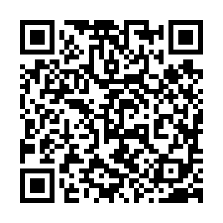 QR code for 29Z699
