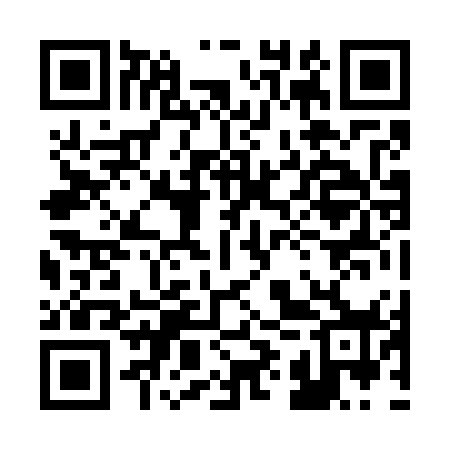 QR code for 29Z778