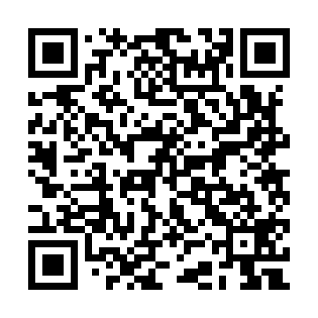 QR code for 2CR919