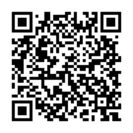 QR code for 2D4517