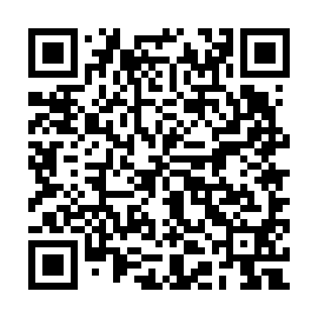 QR code for 2DE690