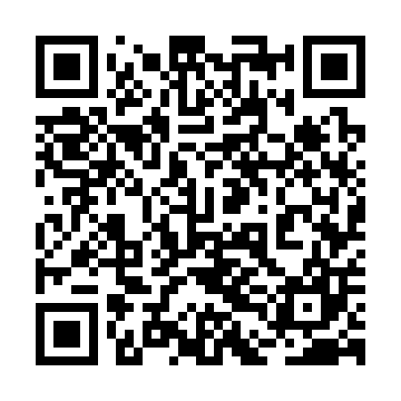 QR code for 2DG307