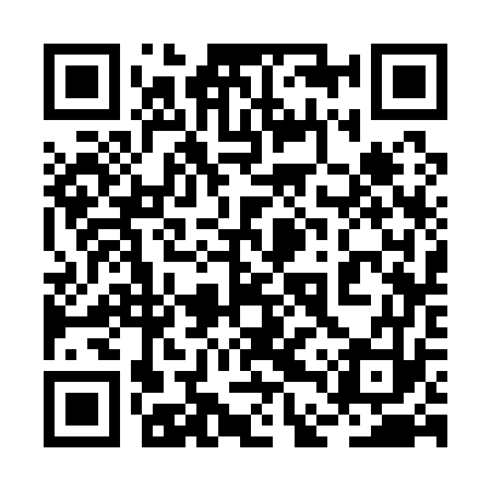 QR code for 2DS173