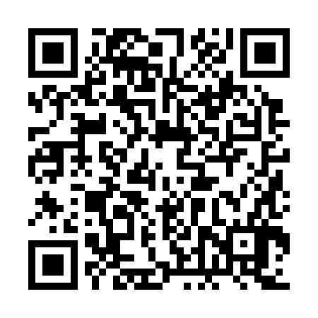 QR code for 2DZ386