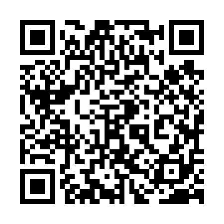 QR code for 2DZ610