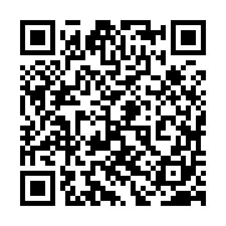 QR code for 2DZ950