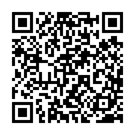QR code for 2G0641