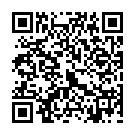 QR code for 2G4393