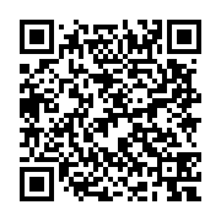 QR code for 2G9538