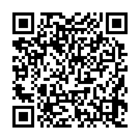 QR code for 2IA378