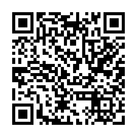 QR code for 2IA383