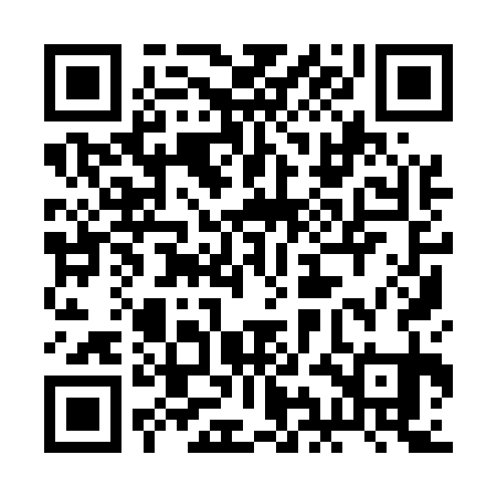 QR code for 2II531