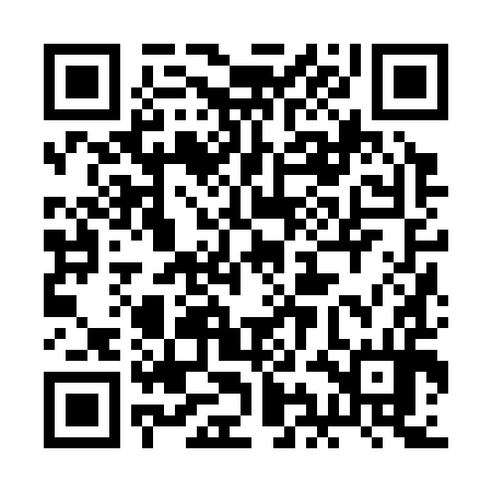 QR code for 2IJ394