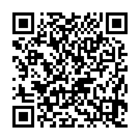 QR code for 2IR875