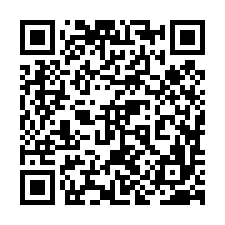QR code for 2IZ496