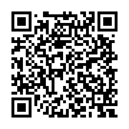 QR code for 2MP595