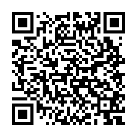 QR code for 2N0300
