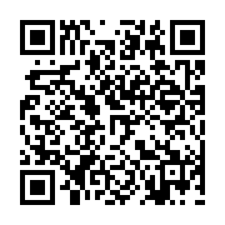 QR code for 2N1381