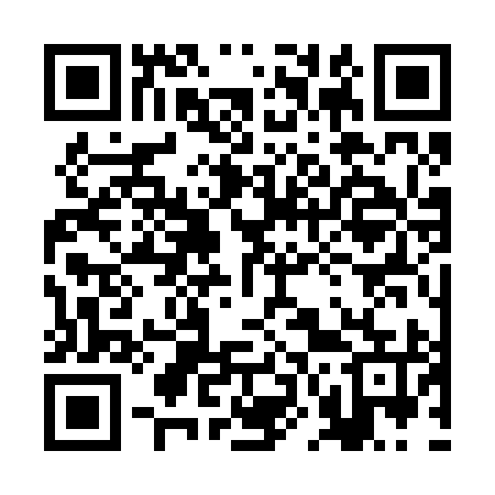 QR code for 2N3295
