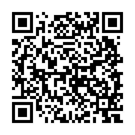 QR code for 2N4695