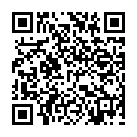 QR code for 2N5860