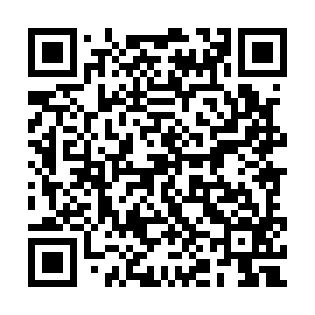 QR code for 2N8196