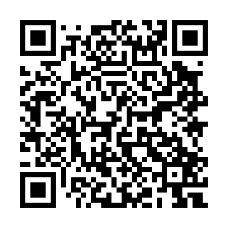 QR code for 2N9007