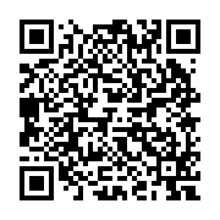 QR code for 2NA295