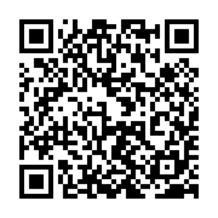QR code for 2NS095