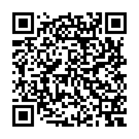 QR code for 2NS950