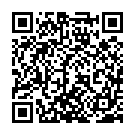 QR code for 2O8517