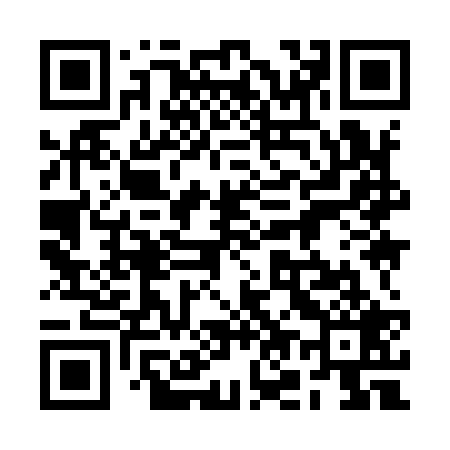 QR code for 2O9929