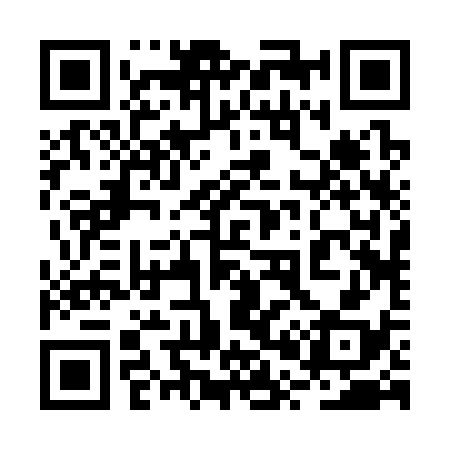 QR code for 2P2338