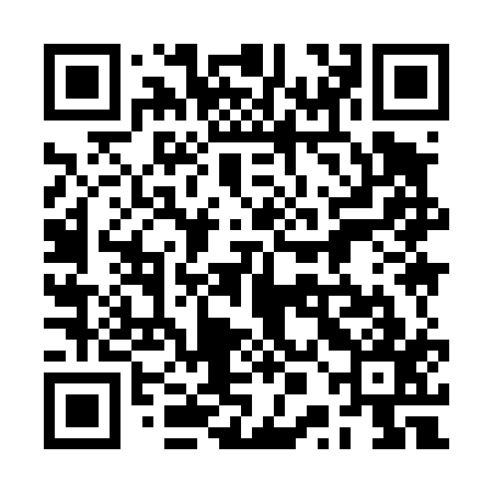 QR code for 2PI417