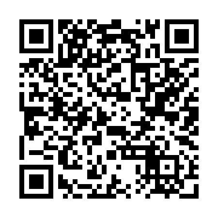 QR code for 2PI990